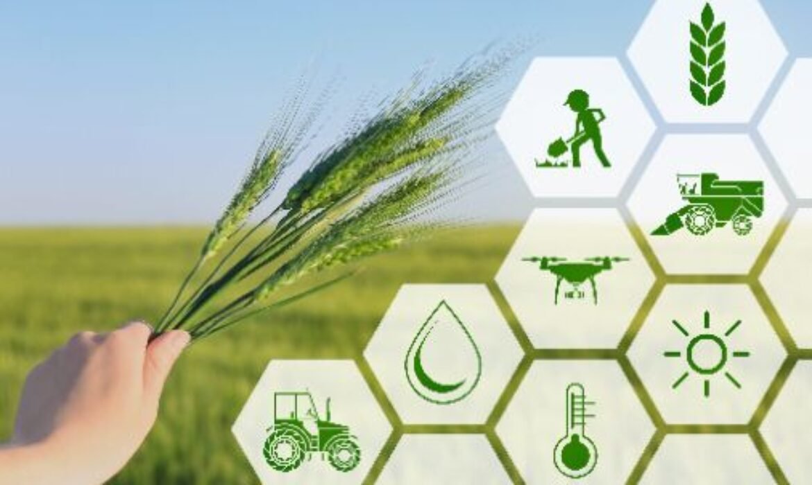 595754-405477f4iil2ctxxgzyjmwjcjwyj6bfs47ge5233307